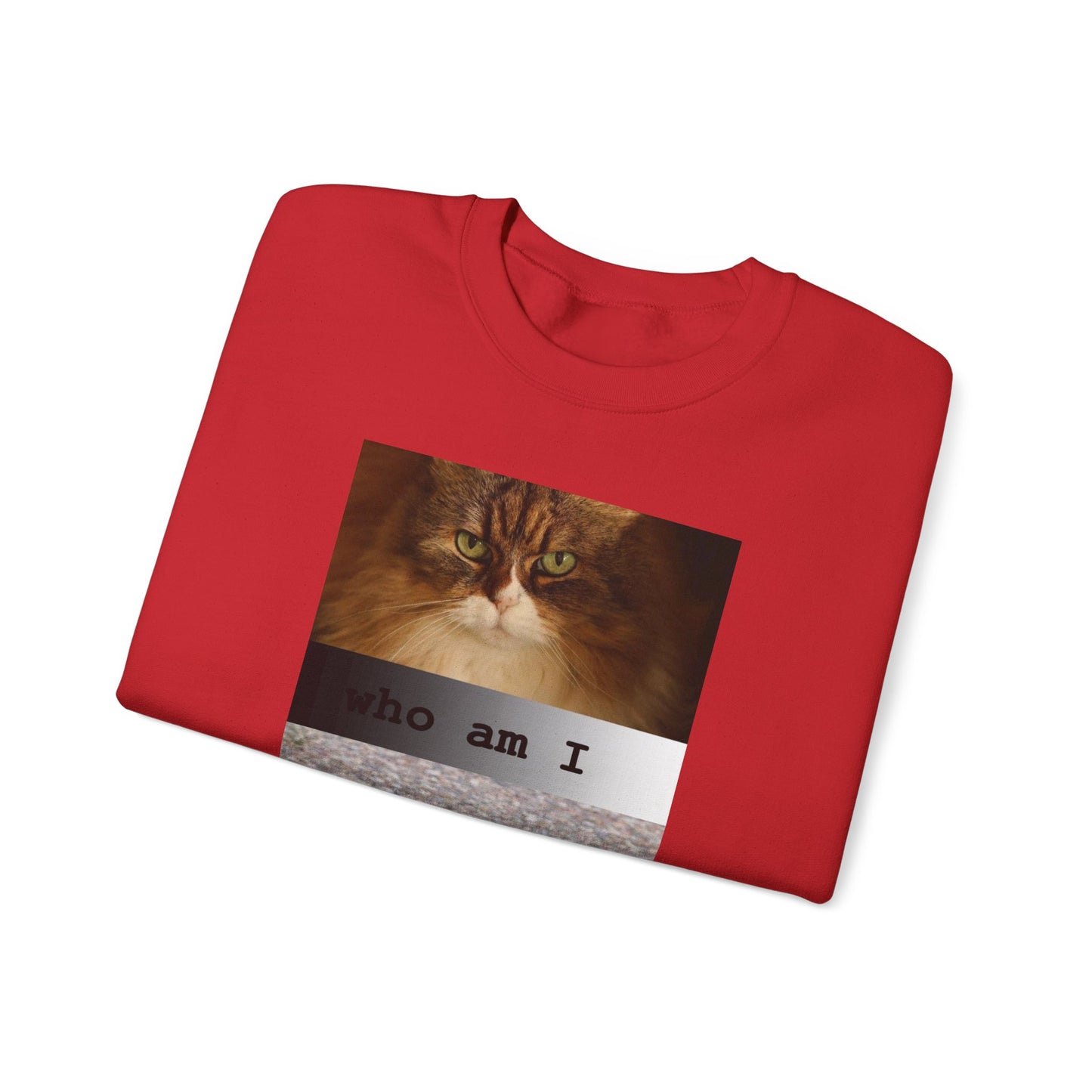 Cat and Cardinal Photo Sweatshirt | "who am I" design