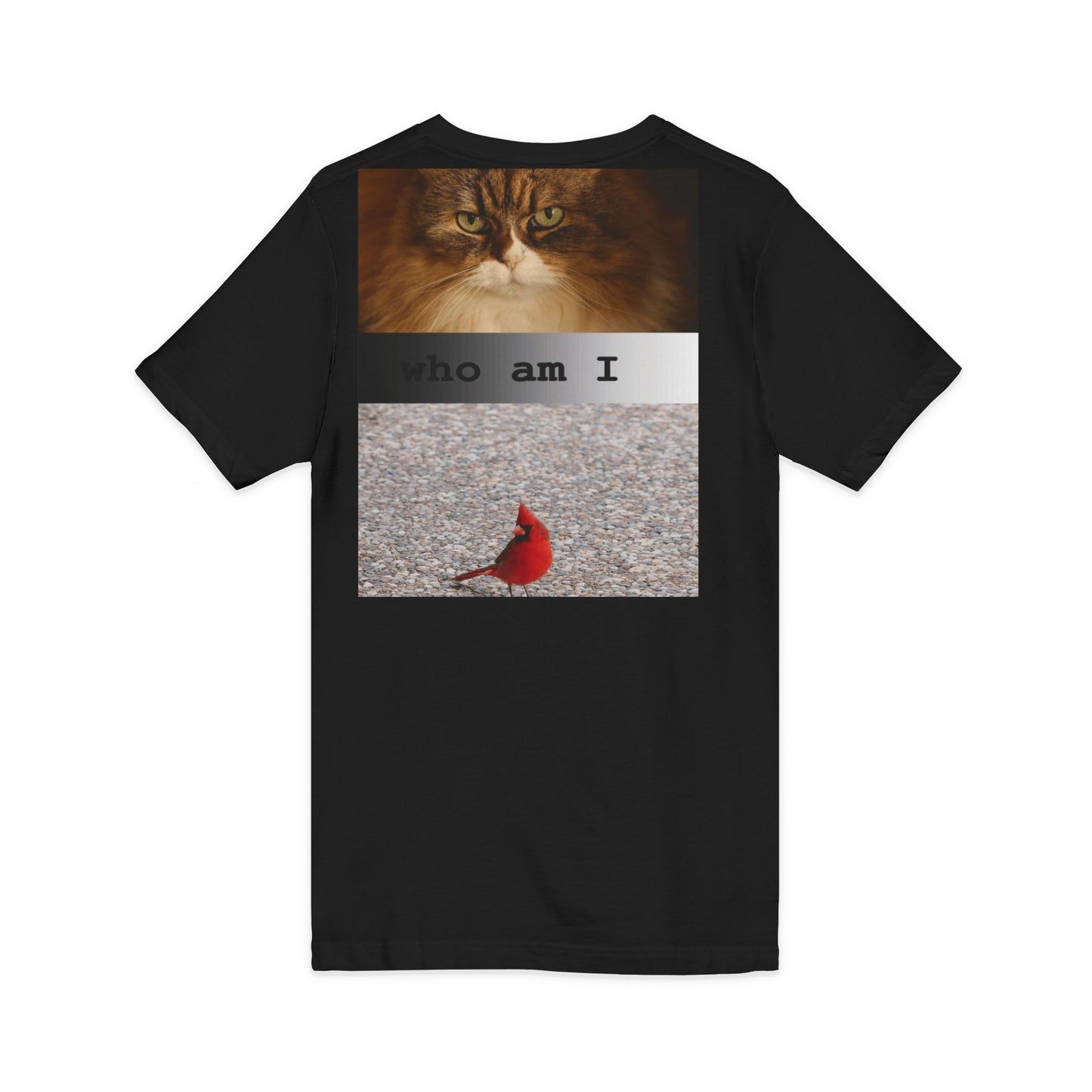 Cat & Cardinal V-Neck Tee — "Who Am I" Graphic T-Shirt