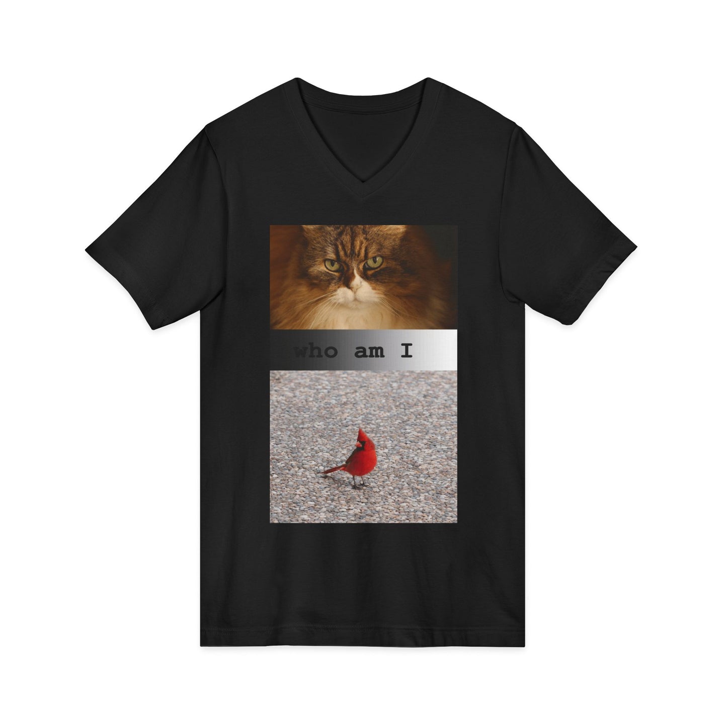 Cat & Cardinal V-Neck Tee — "Who Am I" Graphic T-Shirt