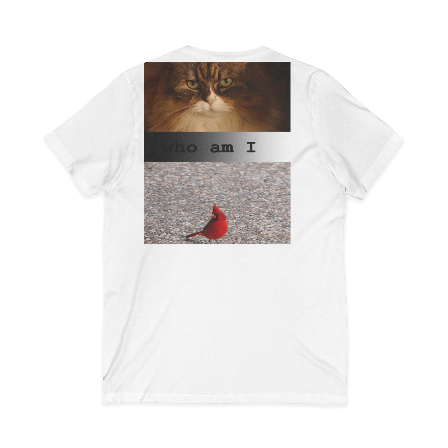 Cat & Cardinal V-Neck Tee — "Who Am I" Graphic T-Shirt