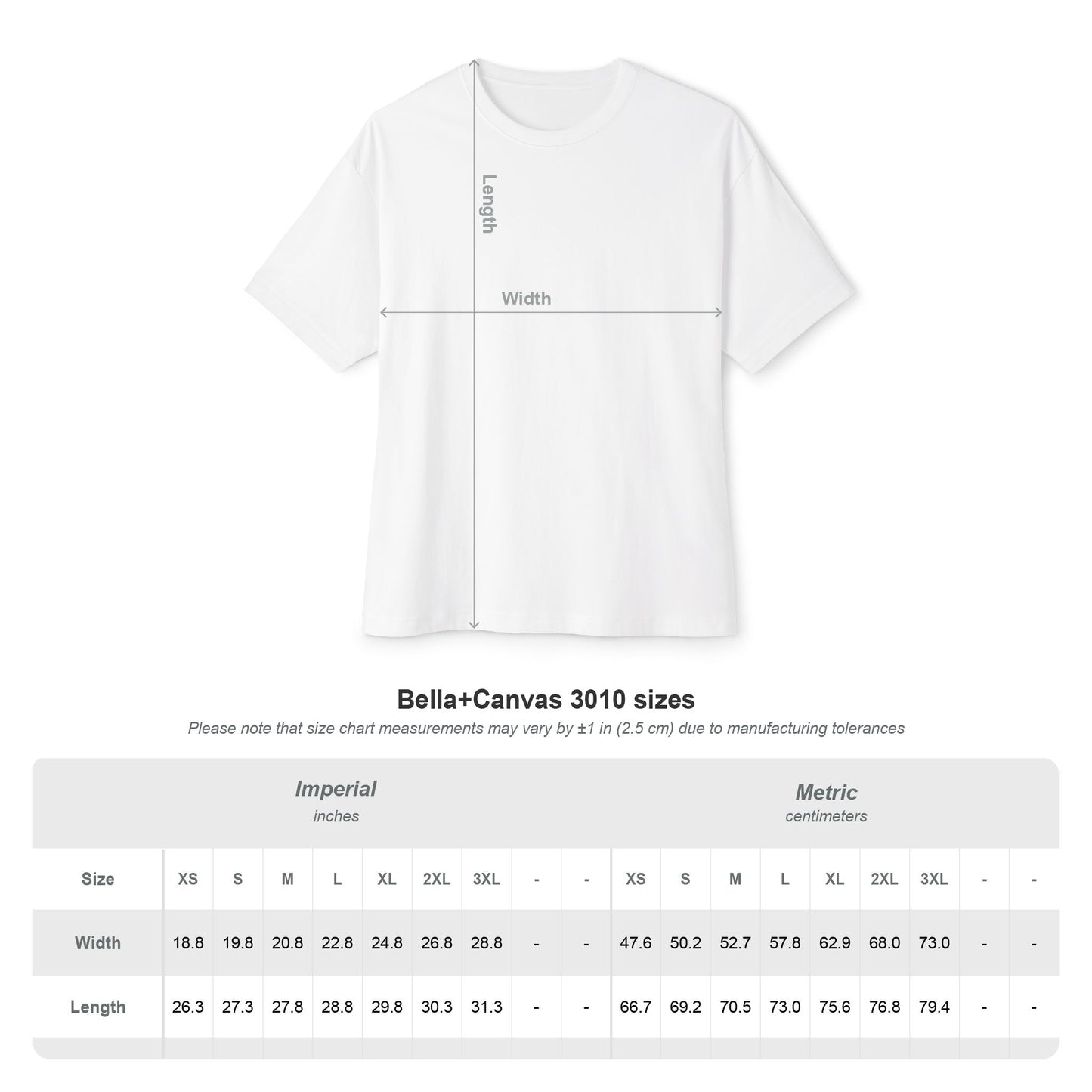 Valkyrie Warrior Tee — Nordic Myth Winged Shield Graphic Shirt