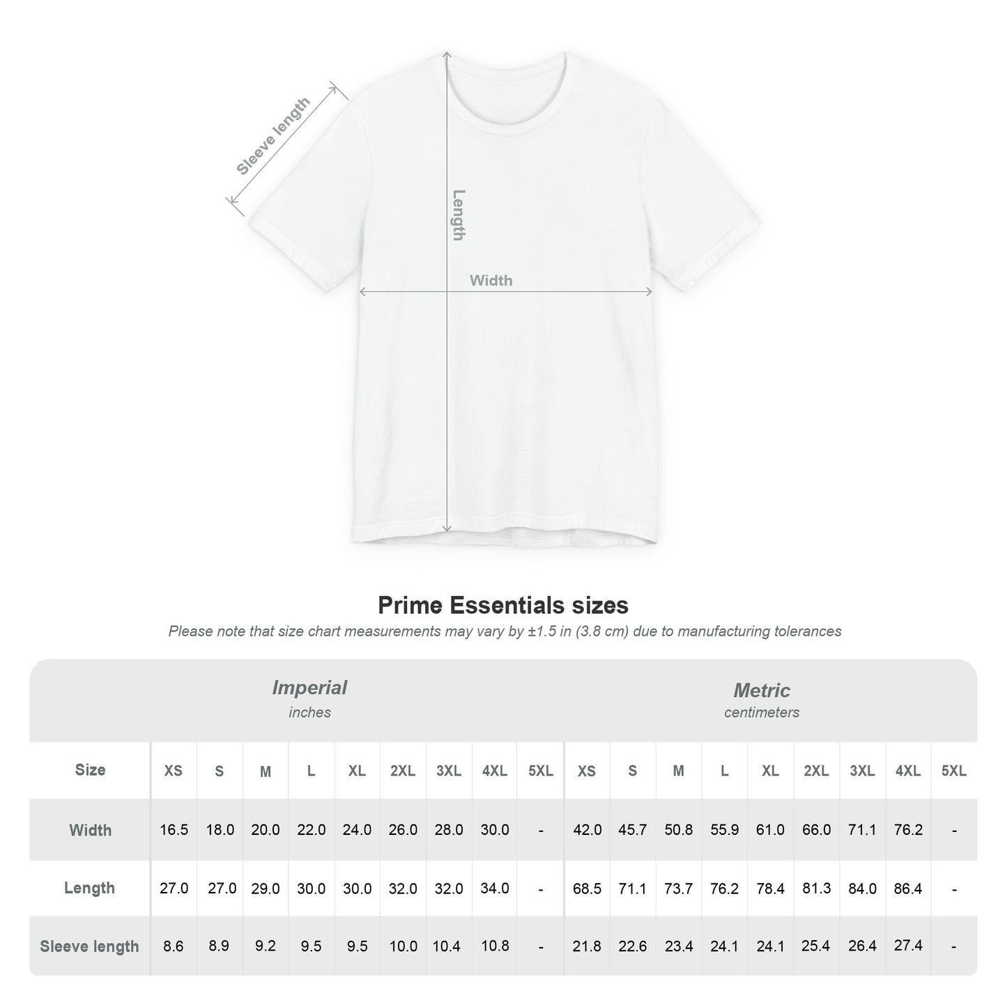 Valkyrie Warrior T-Shirt — Mythic Winged Armor Graphic Tee