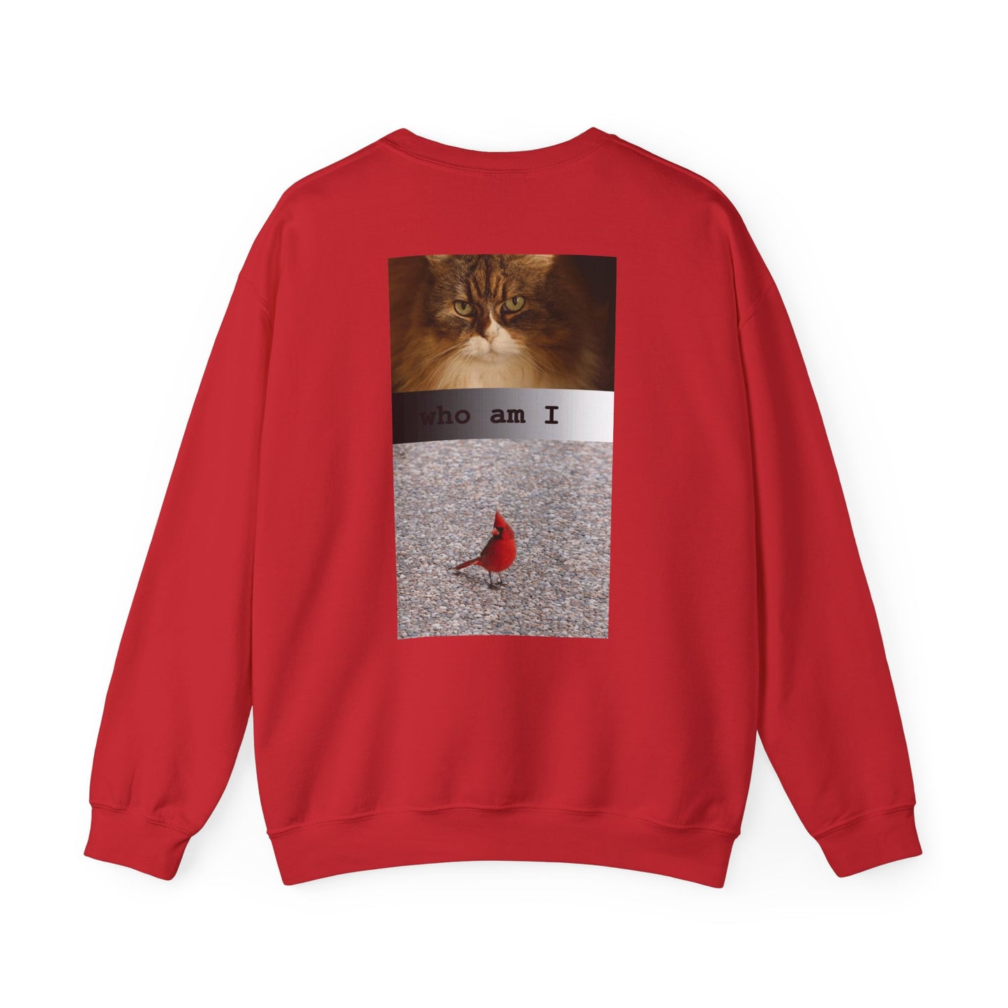 Cat and Cardinal Photo Sweatshirt | "who am I" design