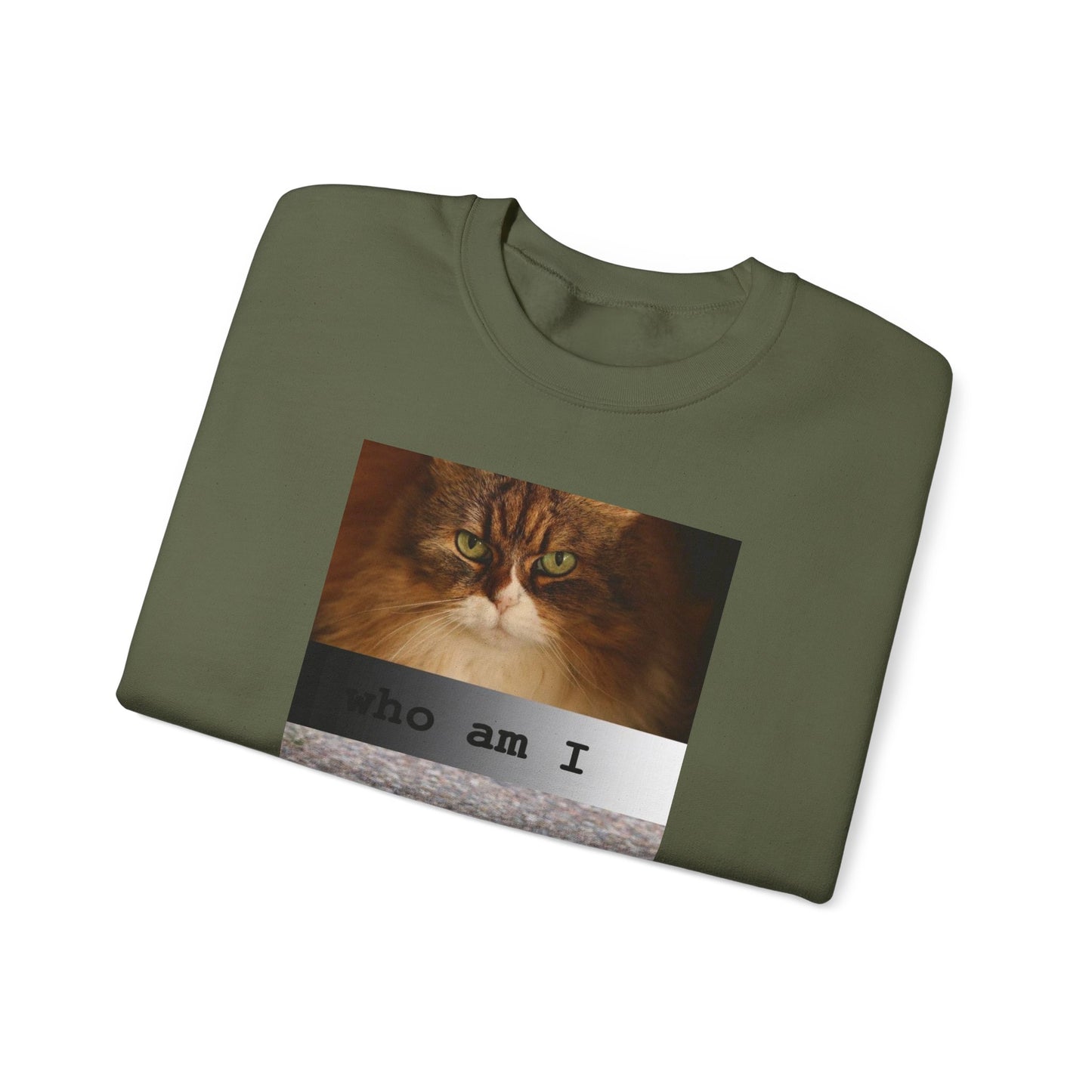 Cat and Cardinal Photo Sweatshirt | "who am I" design