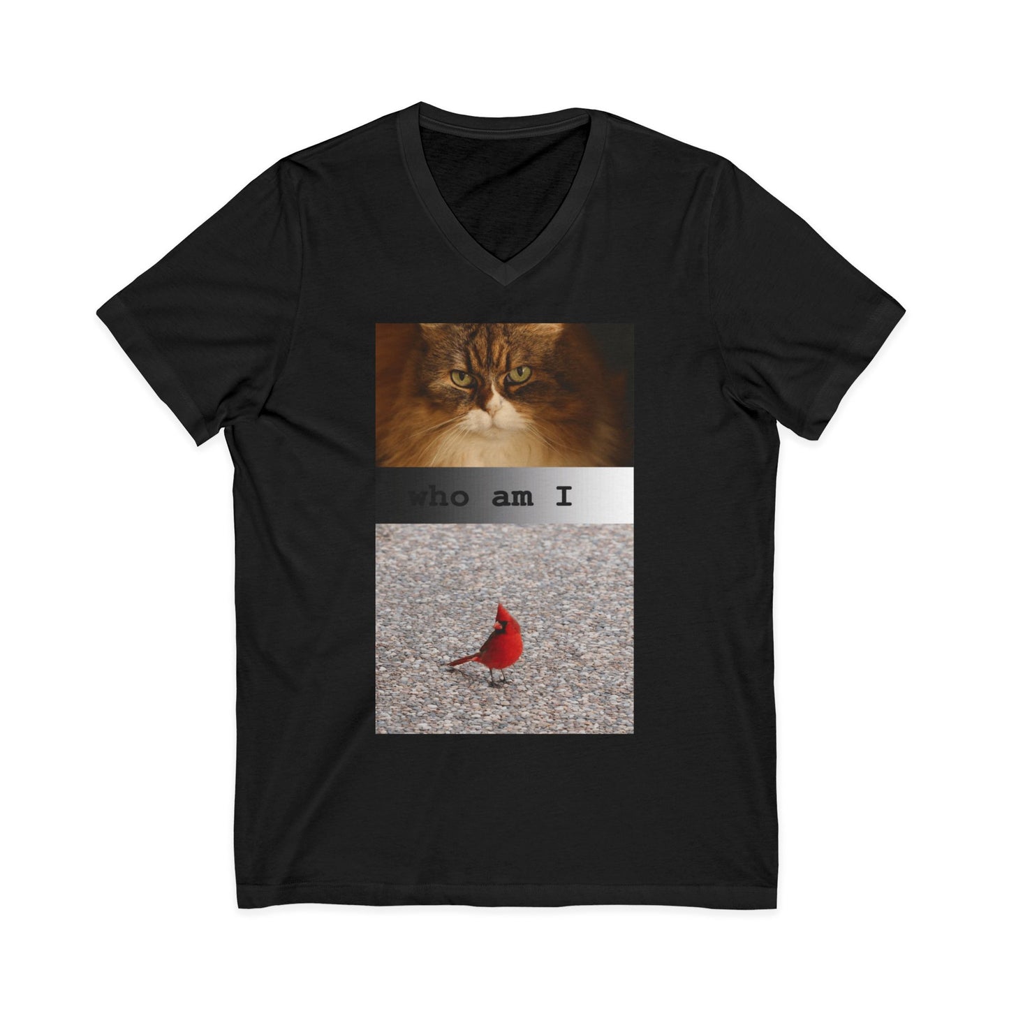 Cat & Cardinal V-Neck Tee — "Who Am I" Graphic T-Shirt