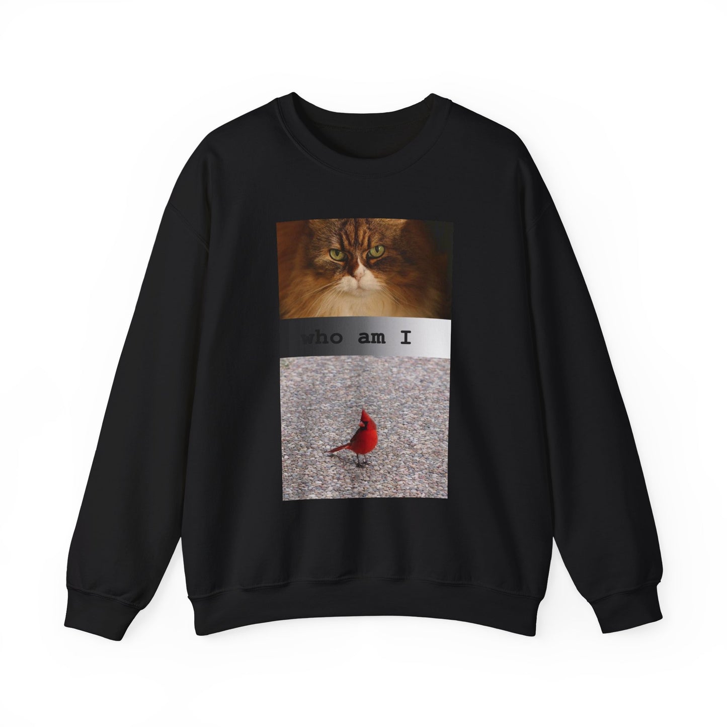Cat and Cardinal Photo Sweatshirt | "who am I" design