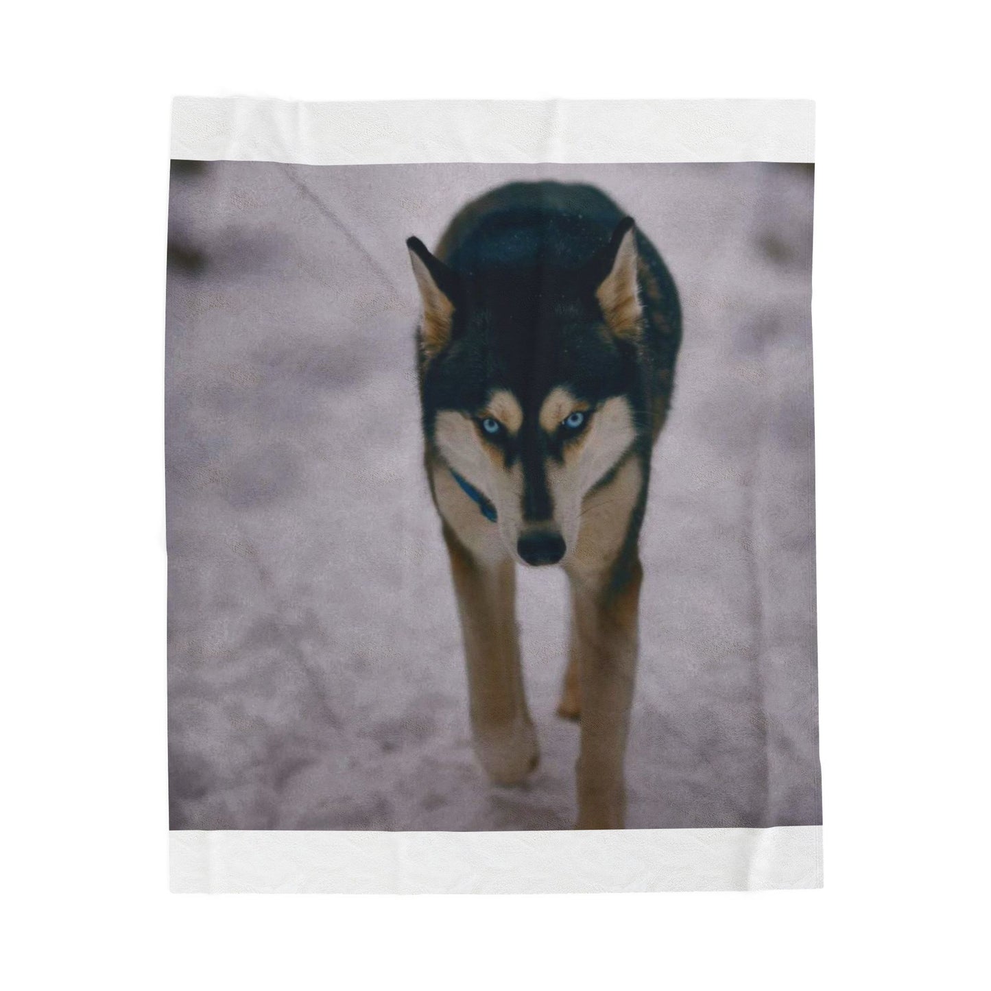 Husky Photo Velveteen Plush Blanket — Soft Winter Dog Throw for Siberian Husky Lovers