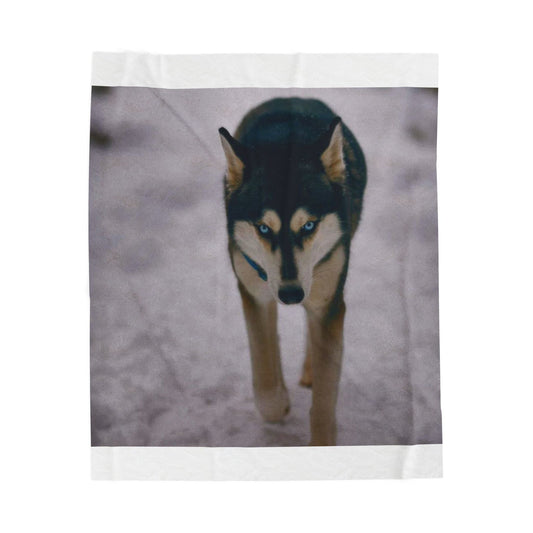 Husky Photo Velveteen Plush Blanket — Soft Winter Dog Throw for Siberian Husky Lovers