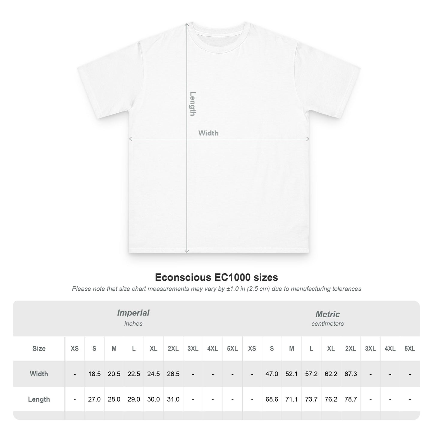 Valkyrie Warrior T-Shirt