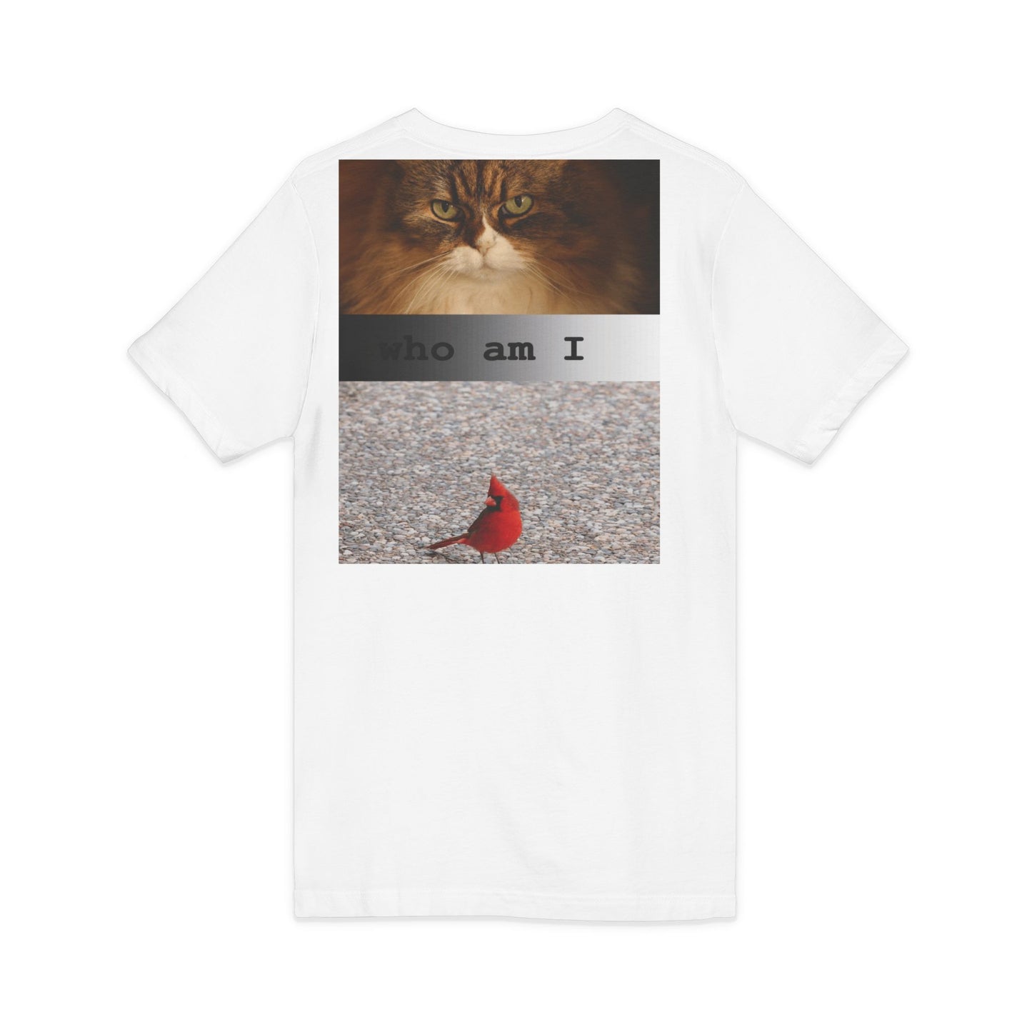 Cat & Cardinal V-Neck Tee — "Who Am I" Graphic T-Shirt