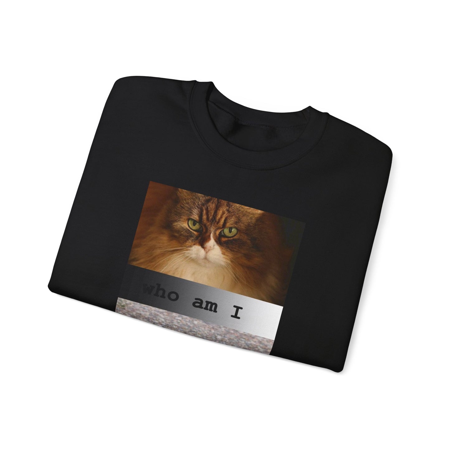 Cat and Cardinal Photo Sweatshirt | "who am I" design