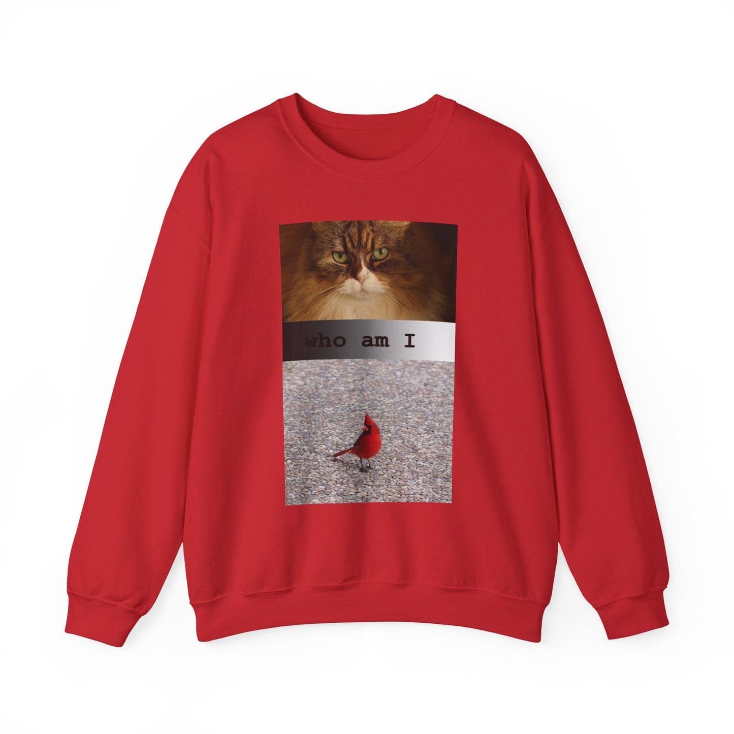 Cat and Cardinal Photo Sweatshirt | "who am I" design