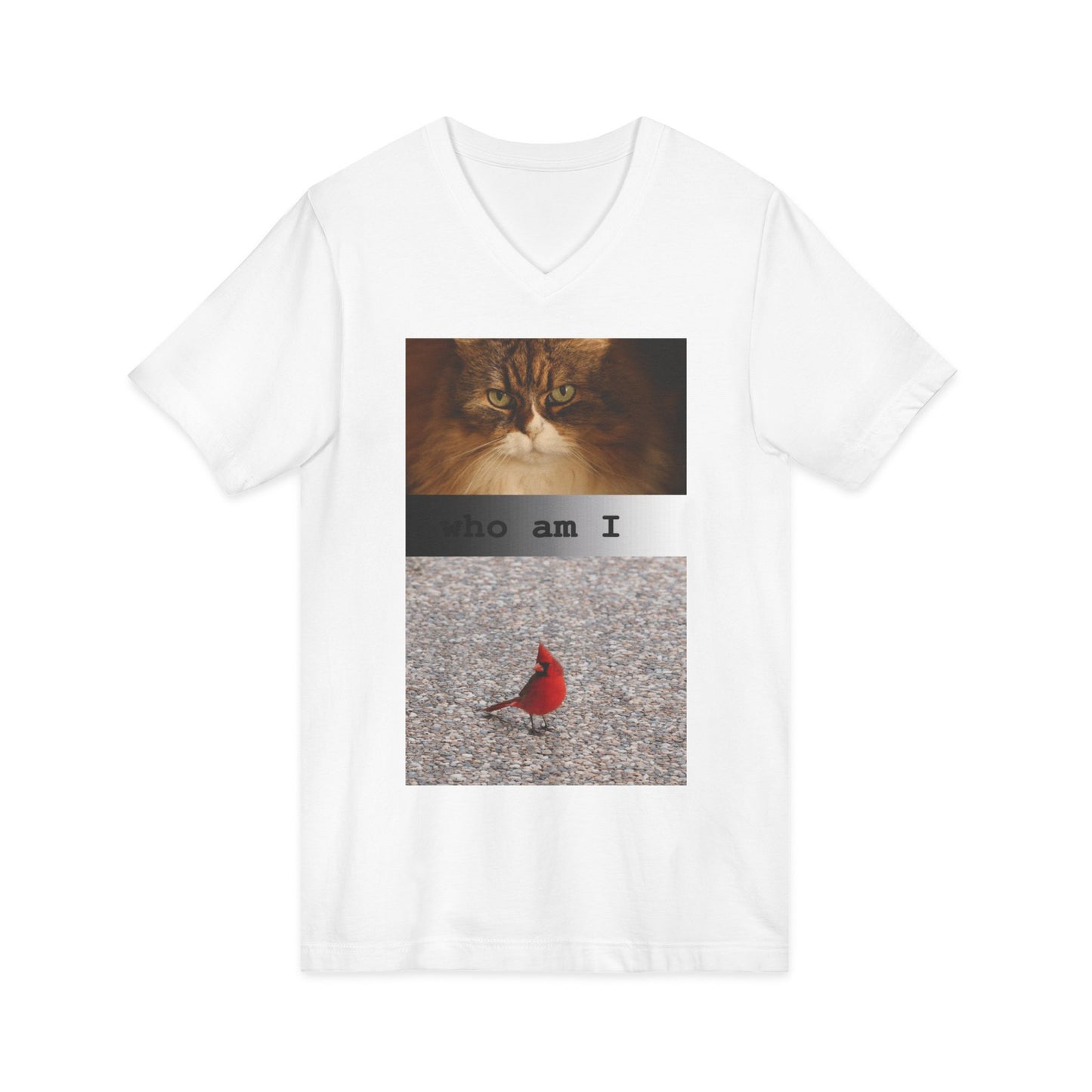 Cat & Cardinal V-Neck Tee — "Who Am I" Graphic T-Shirt