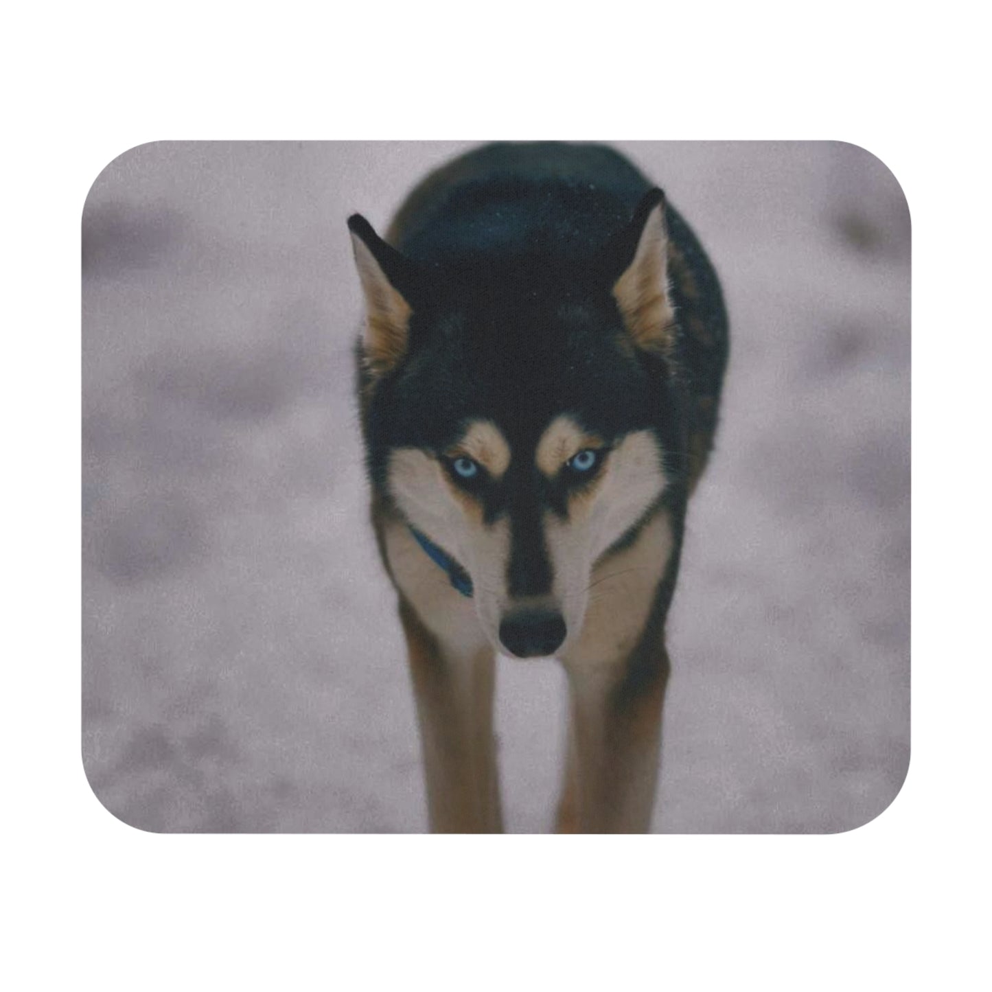 Husky Stare Rectangular Mouse Pad — Arctic Wolf Desk Mat