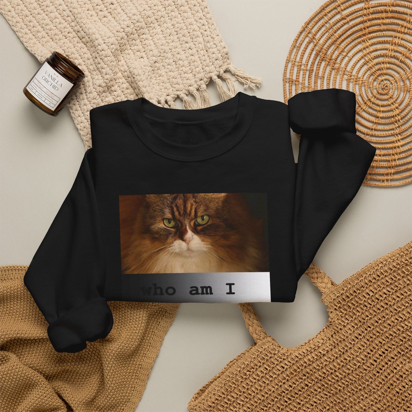 Cat and Cardinal Photo Sweatshirt | "who am I" design