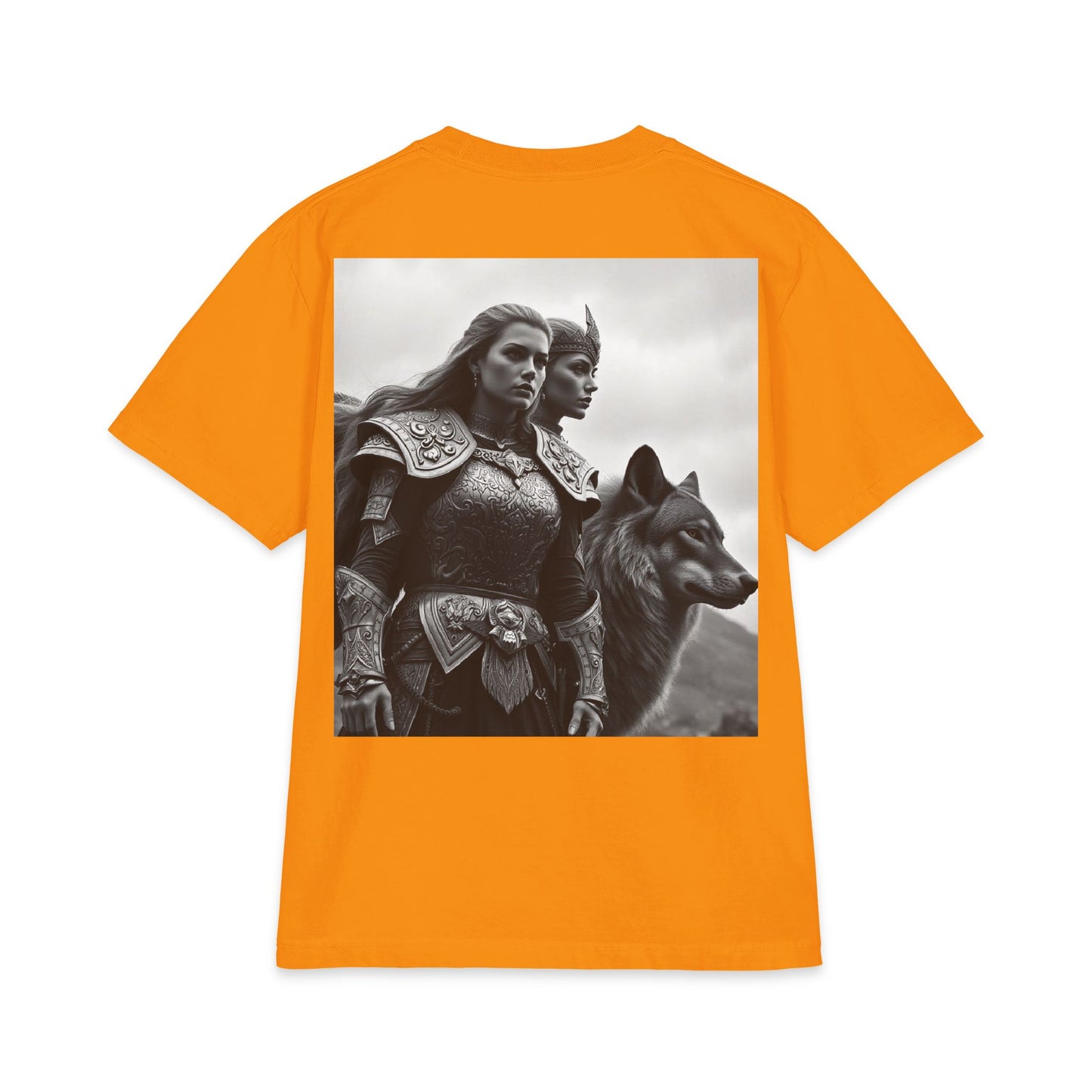 Valkyrie Warrior Photo T-Shirt