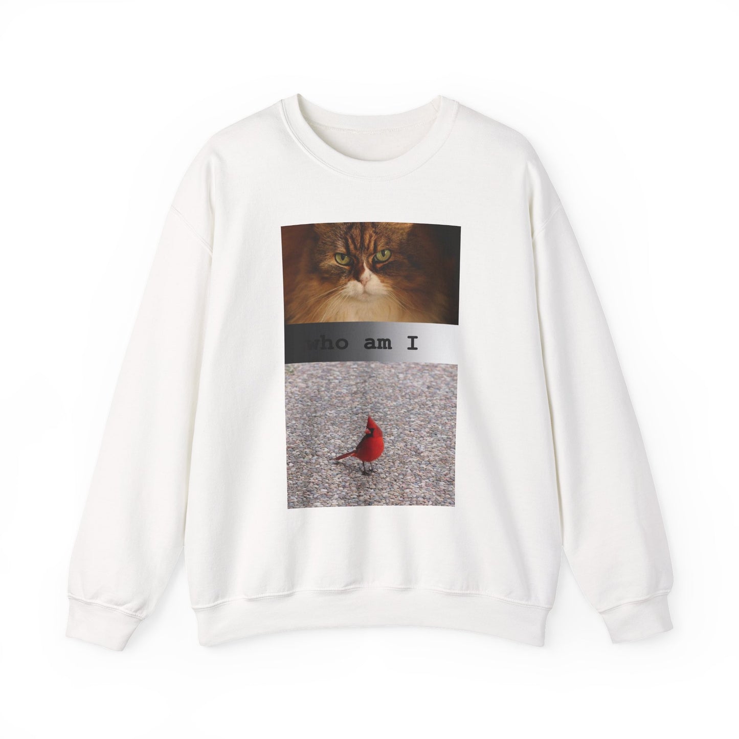 Cat and Cardinal Photo Sweatshirt | "who am I" design