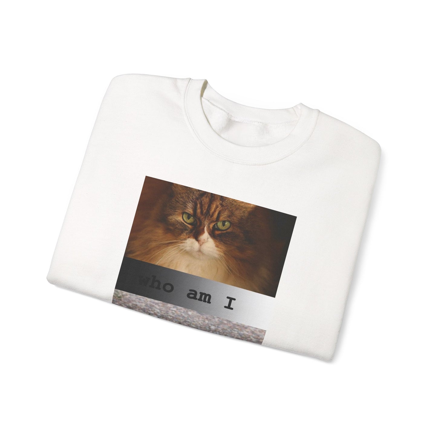 Cat and Cardinal Photo Sweatshirt | "who am I" design