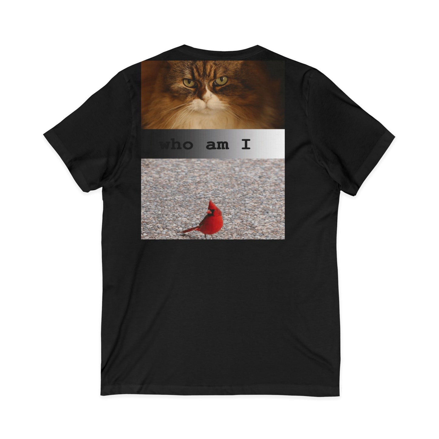 Cat & Cardinal V-Neck Tee — "Who Am I" Graphic T-Shirt