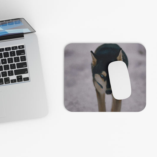 Husky Stare Rectangular Mouse Pad — Arctic Wolf Desk Mat