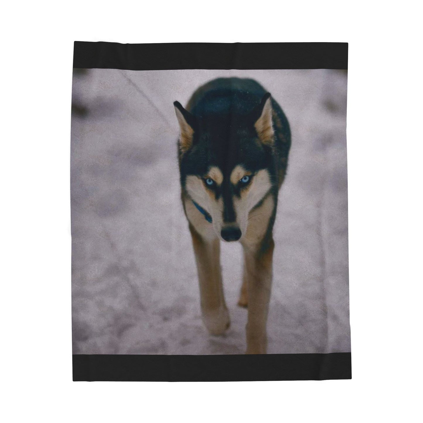 Copy of Husky Photo Velveteen Plush Blanket — Soft Winter Dog Throw for Siberian Husky Lovers