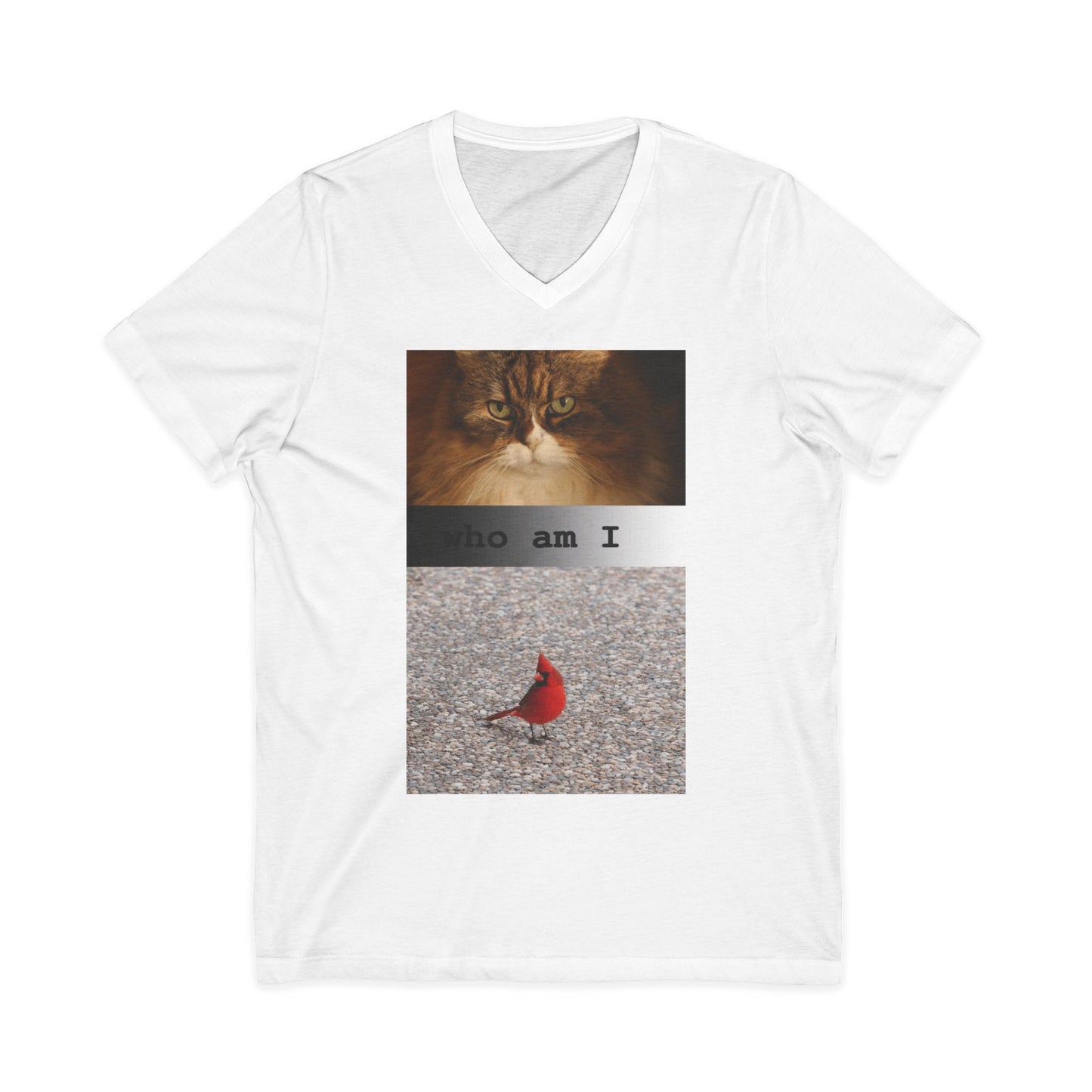 Cat & Cardinal V-Neck Tee — "Who Am I" Graphic T-Shirt
